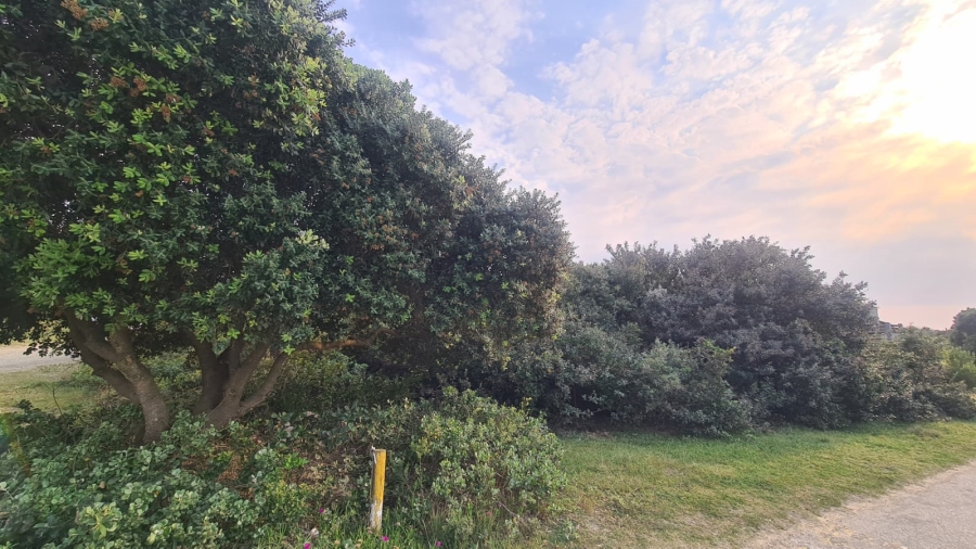 0 Bedroom Property for Sale in Cannon Rocks Eastern Cape